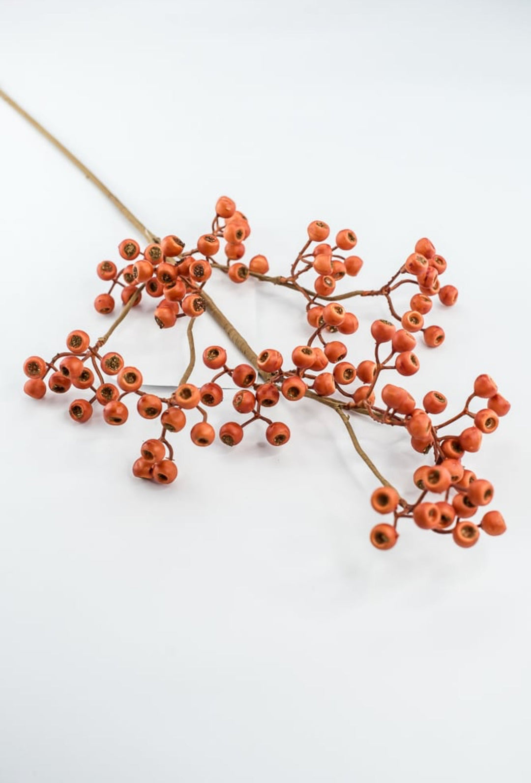 Berries, Pods, & Fruits - Greenery Market