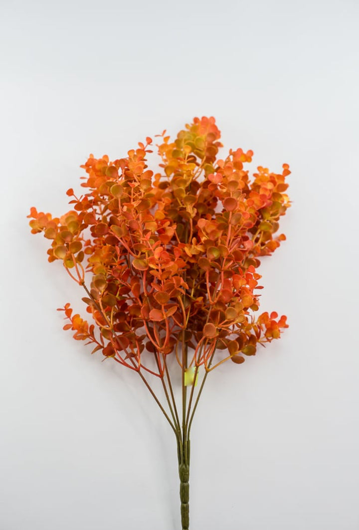 Eucalyptus bush - dark orange red