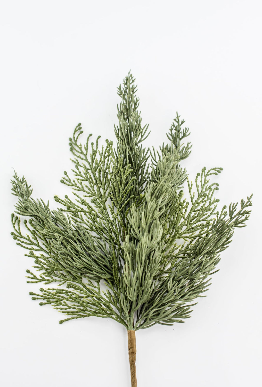 16" Cypress Pick - Greenery Market86309SP16