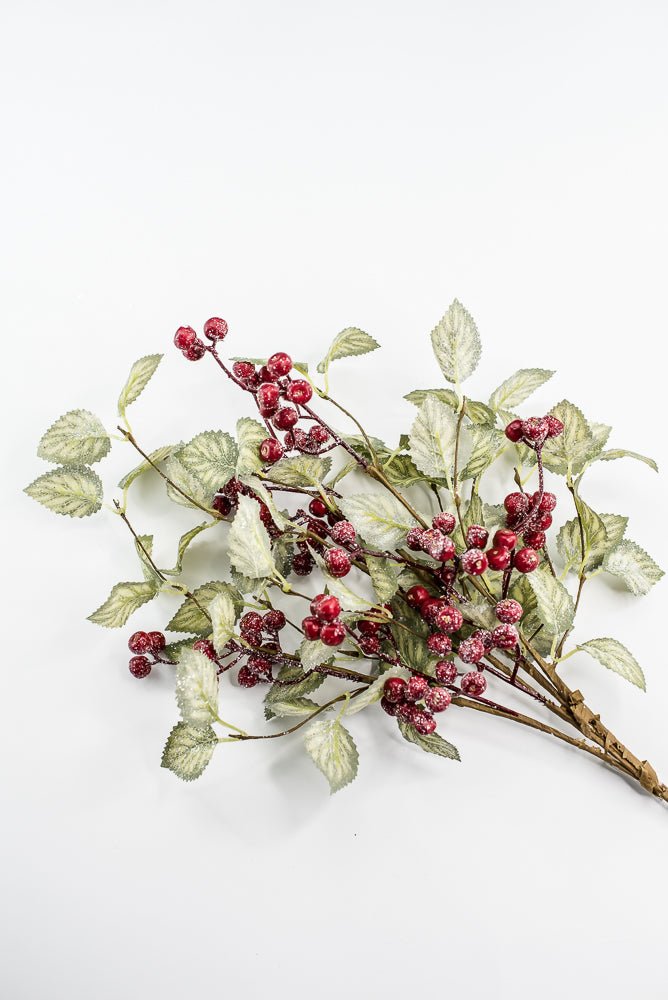 20" Frosted Viburnum Berry Bush - Greenery Market40376