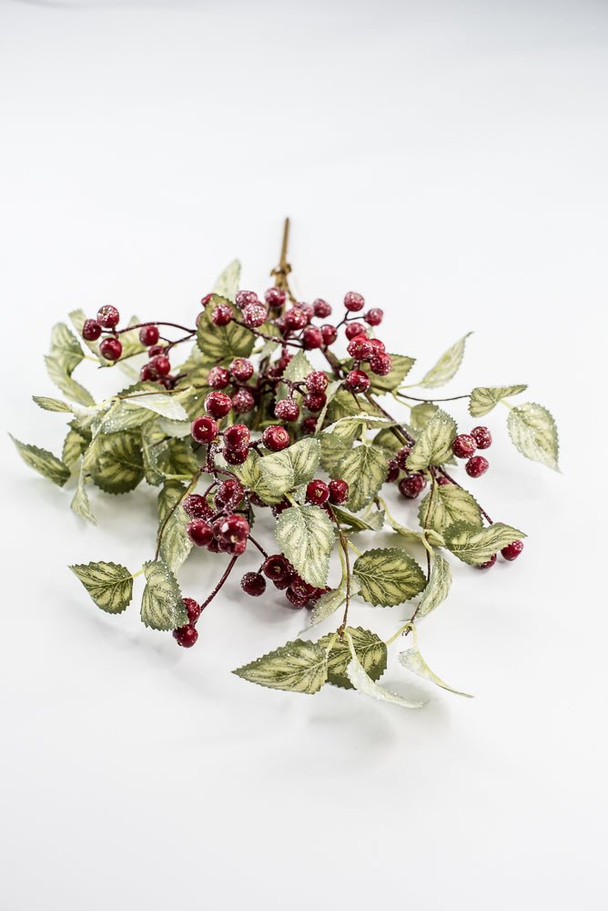 20" Frosted Viburnum Berry Bush - Greenery Market40376