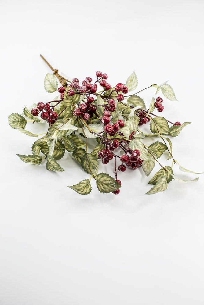 20" Frosted Viburnum Berry Bush - Greenery Market40376