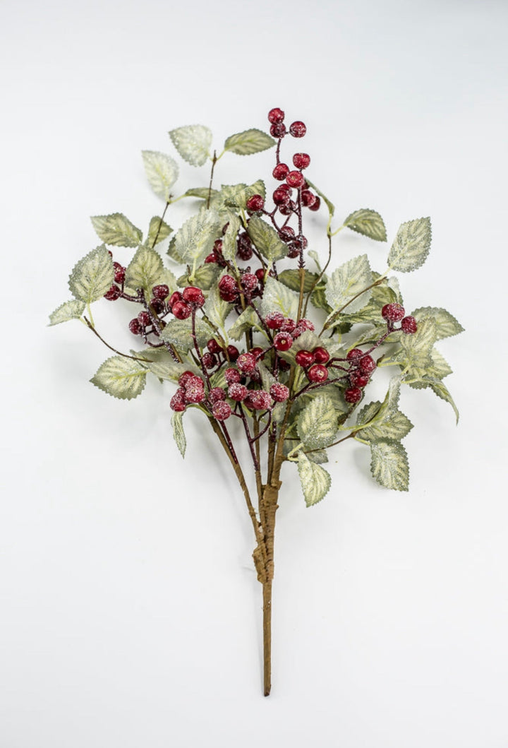 20" Frosted Viburnum Berry Bush - Greenery Market40376