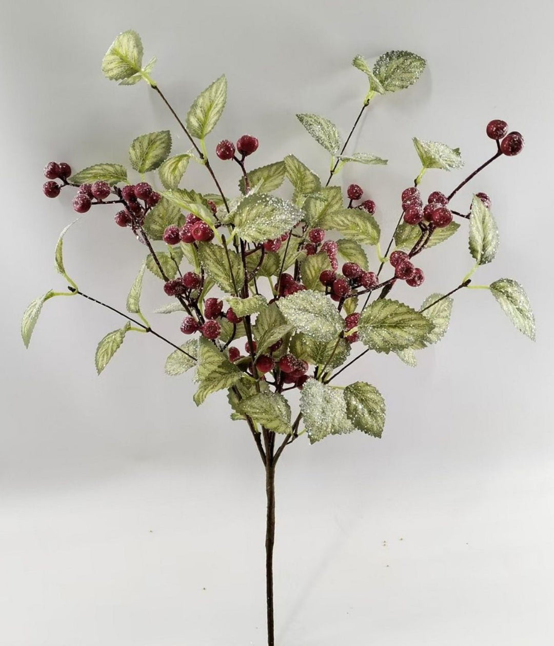 20" Frosted Viburnum Berry - Greenery Market40376