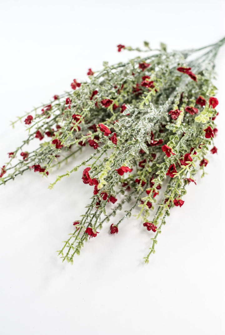 Red Flower And Iced Greenery Bush