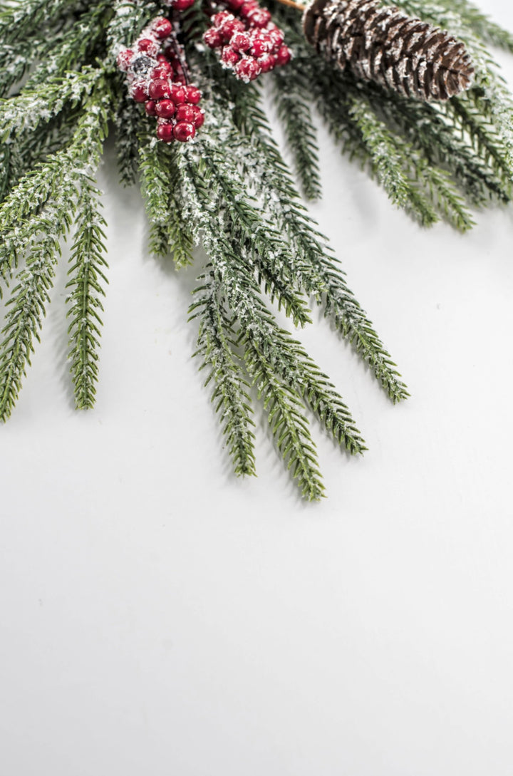 Pine Berry Cone Bush