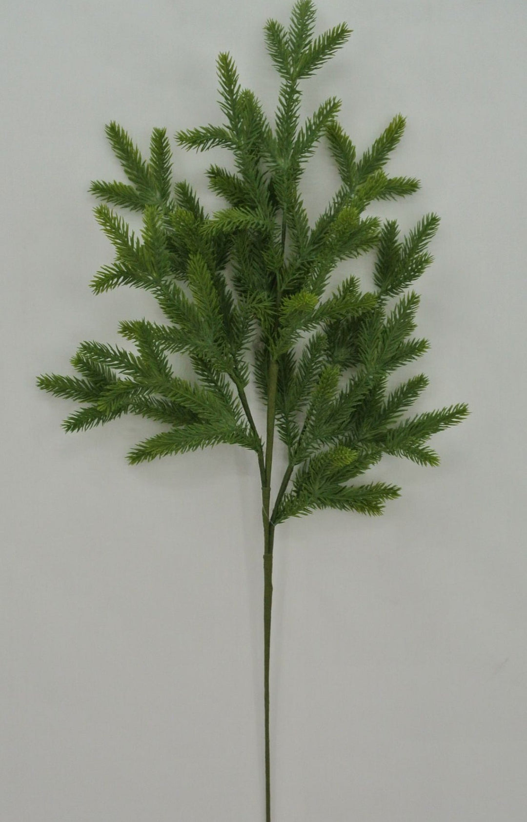 28" Soft Touch Norfolk Pine Spray - Greenery Market23037