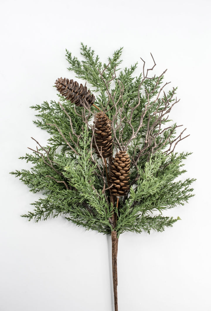Pine & Cone Bush