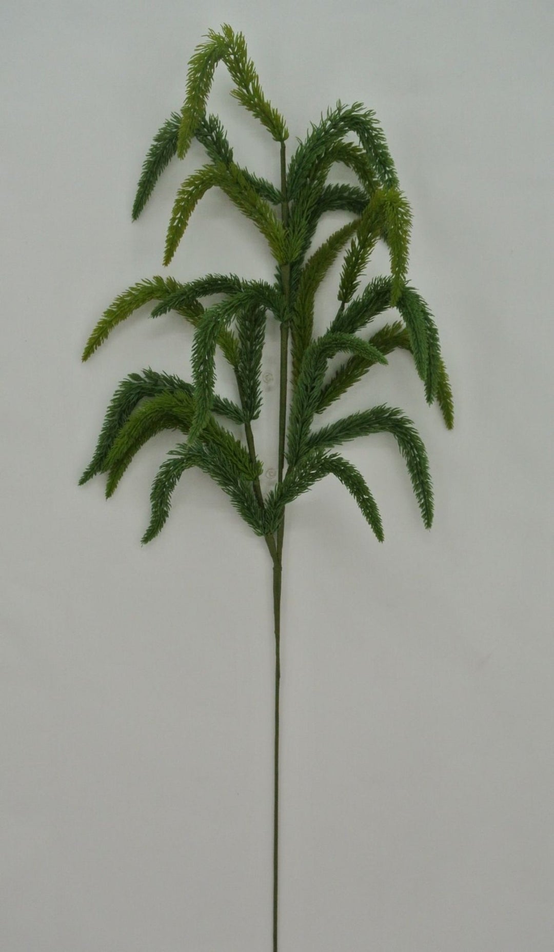 36" Soft Touch Norfolk Pine - Greenery Market23035