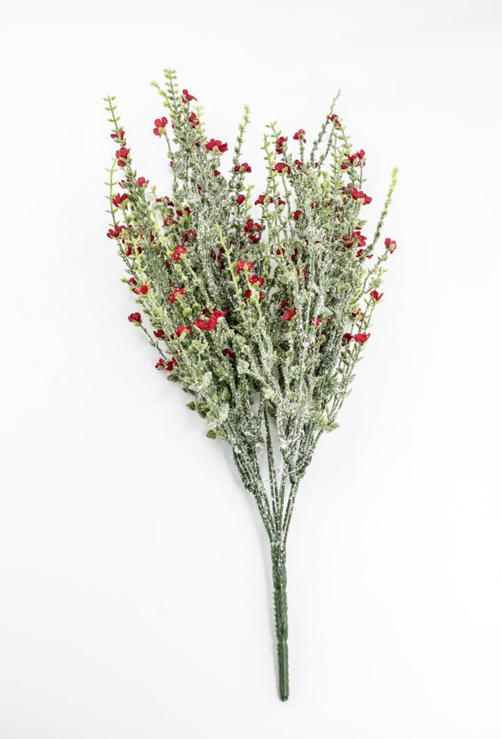 Red Flower And Iced Greenery Bush