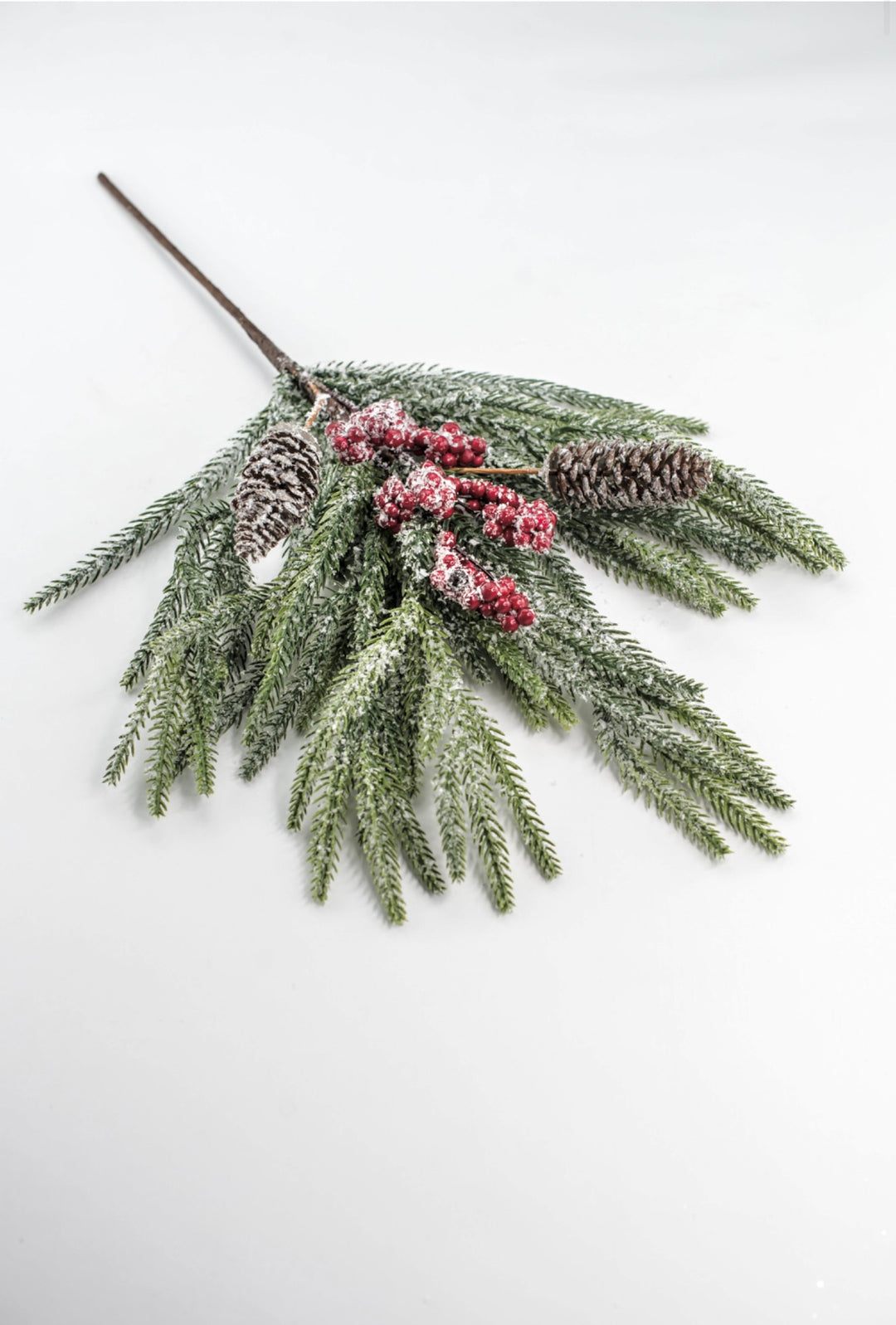 Pine Berry Cone Bush