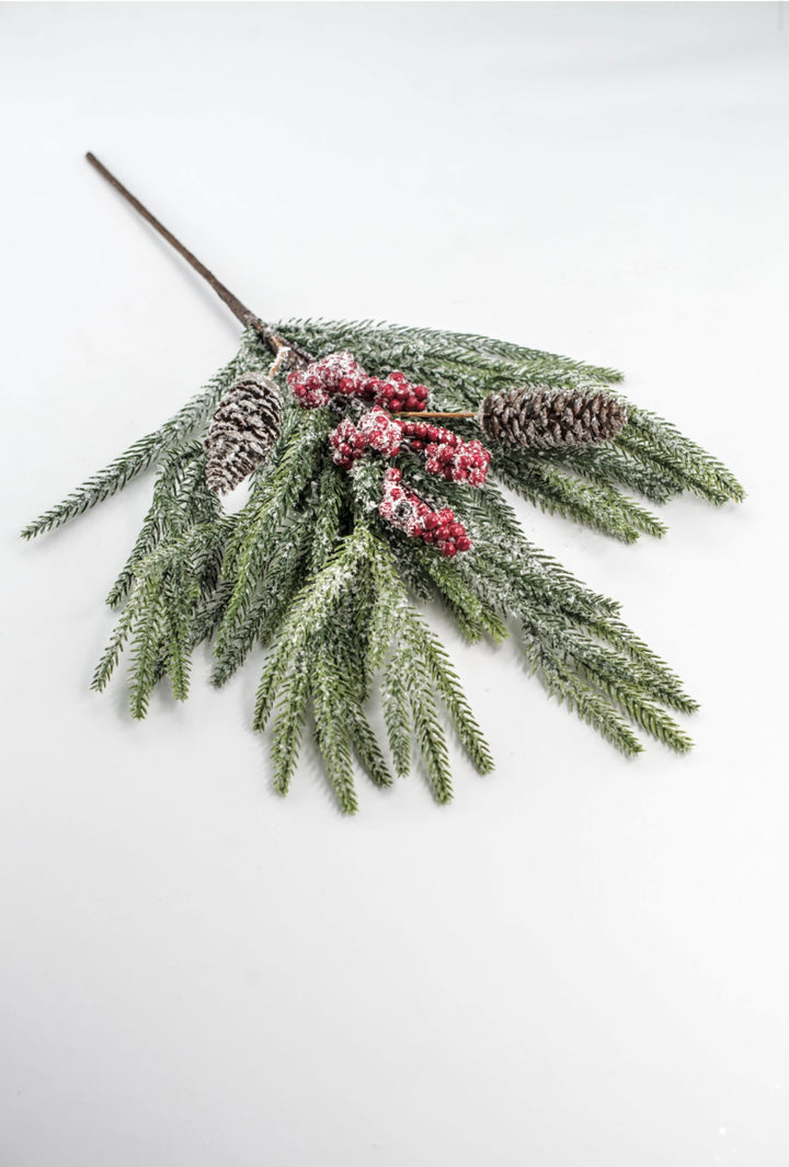 Pine Berry Cone Bush