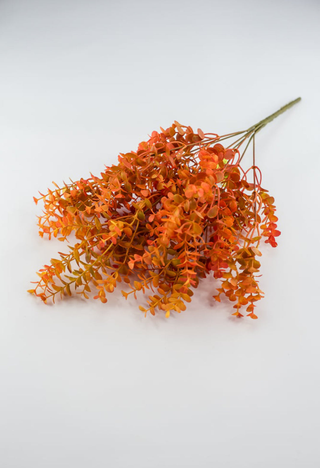 Eucalyptus bush - dark orange red