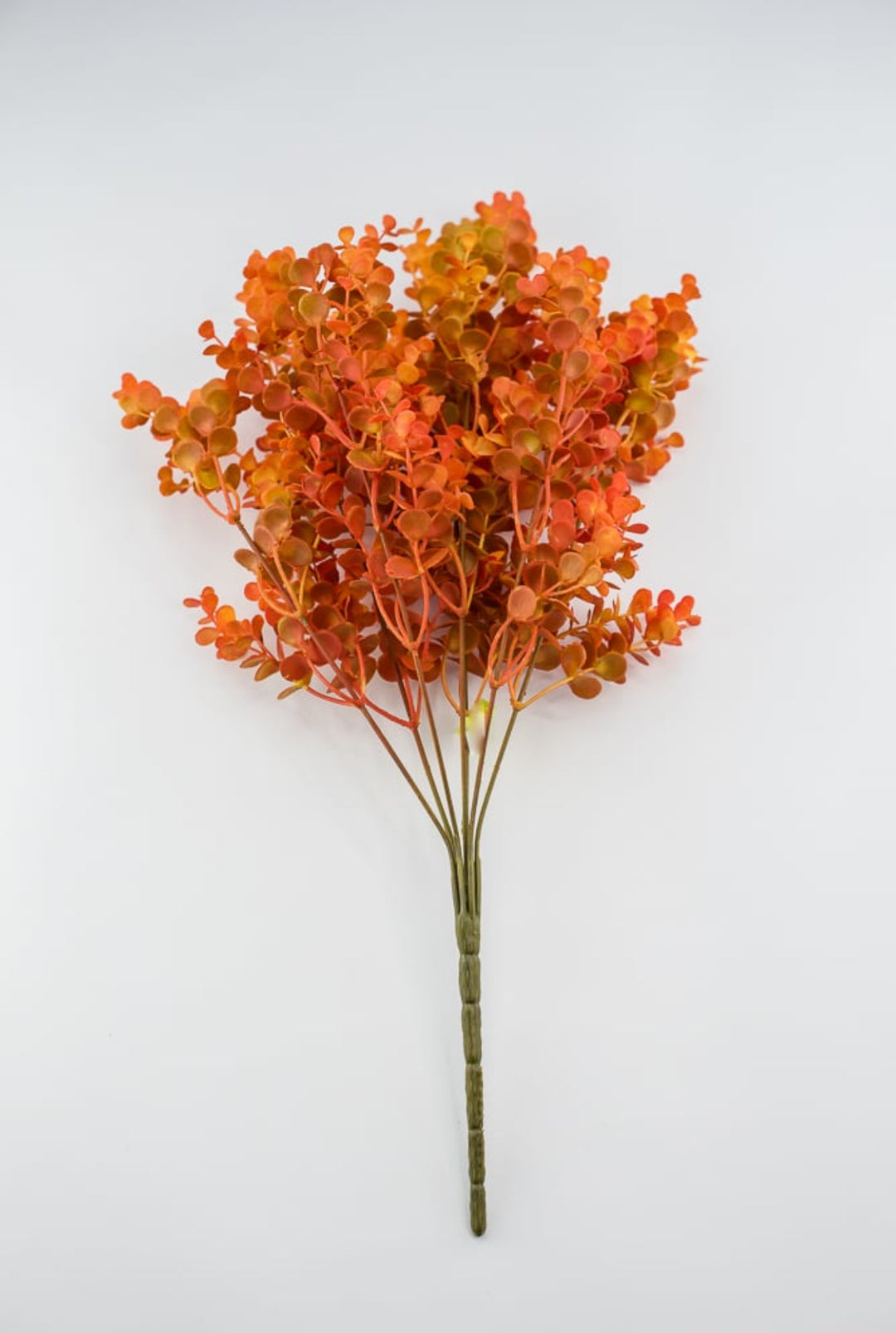 Eucalyptus bush - dark orange red