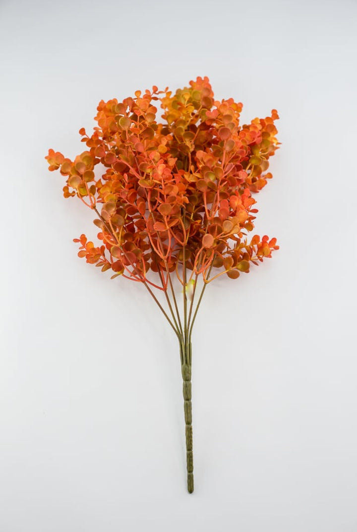 Eucalyptus bush - dark orange red