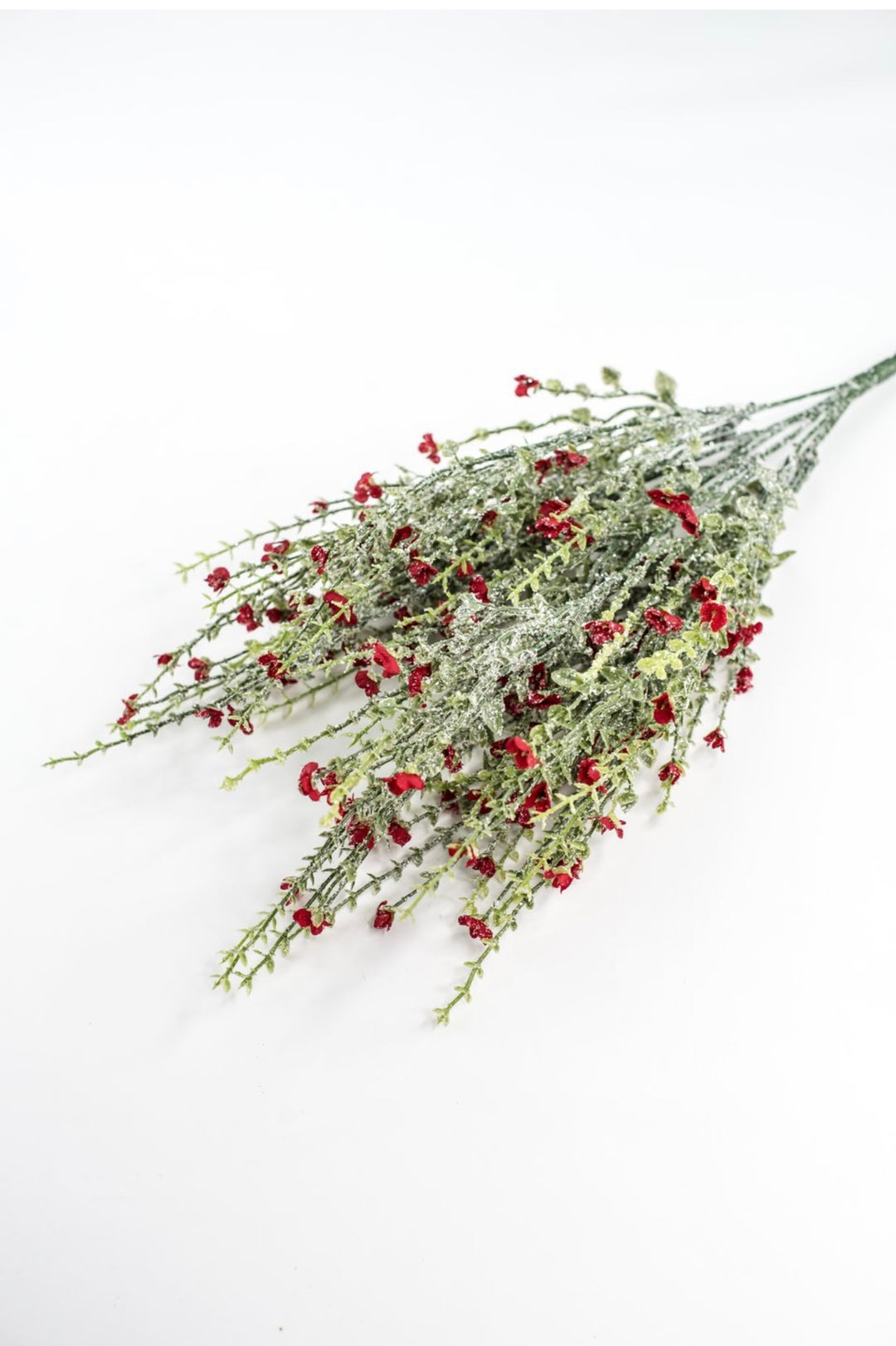 Red Flower And Iced Greenery Bush