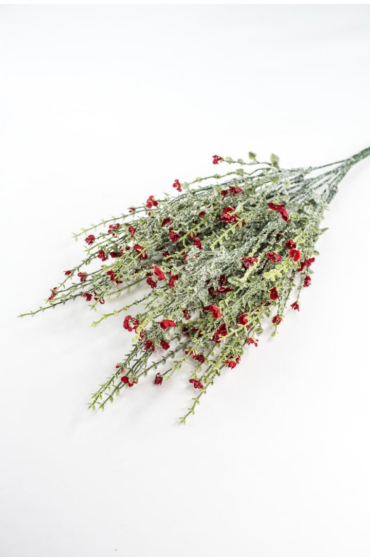 Red Flower And Iced Greenery Bush