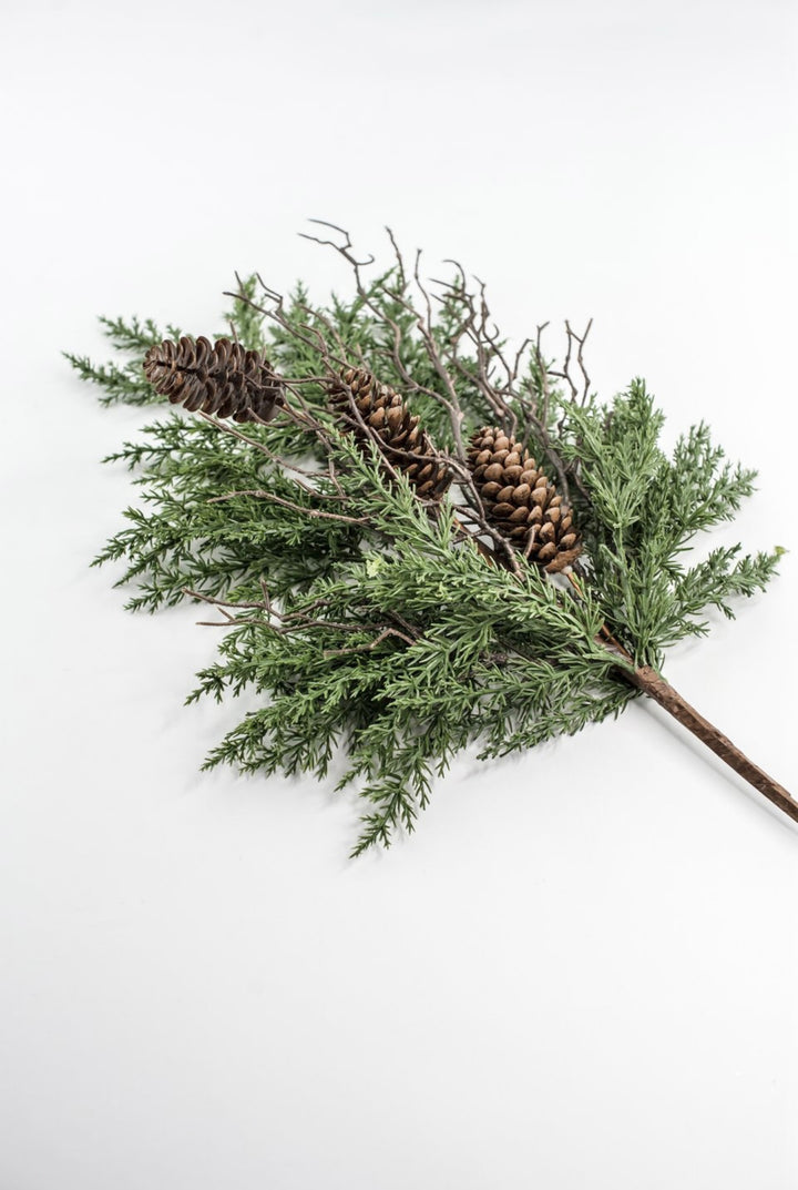 Pine & Cone Bush
