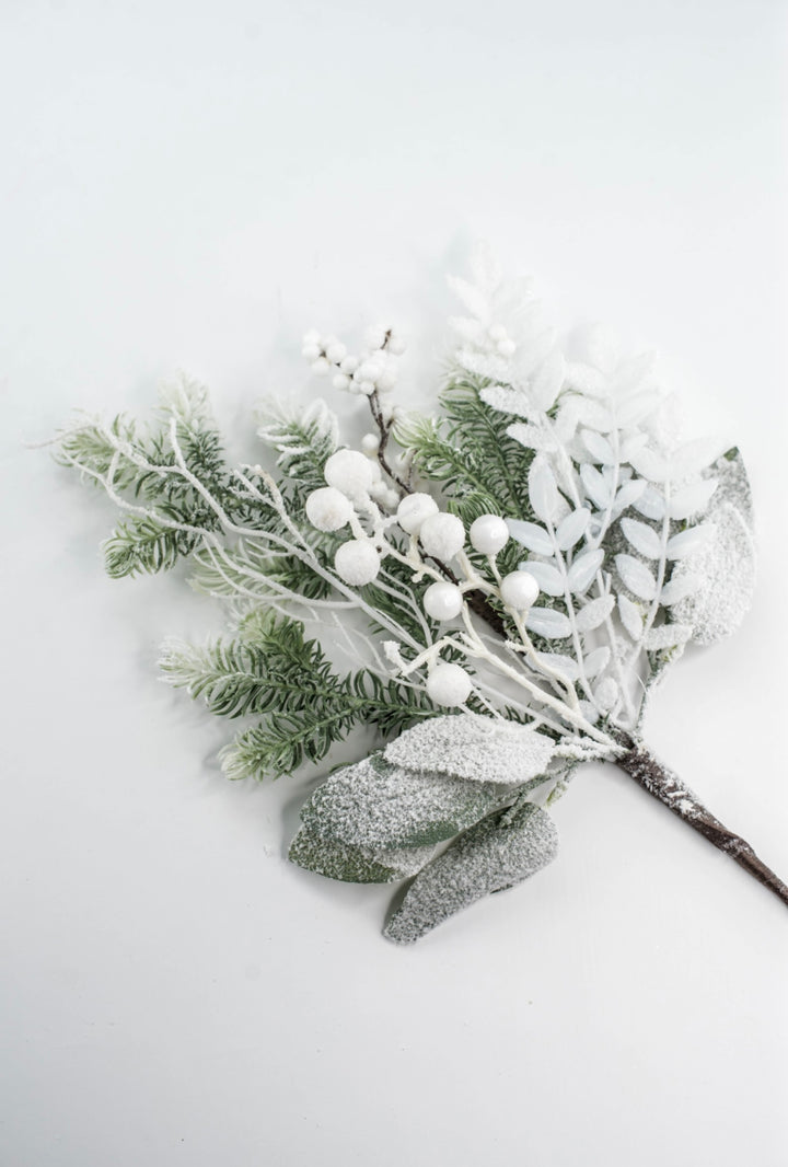 Snow Pine Berry Pick