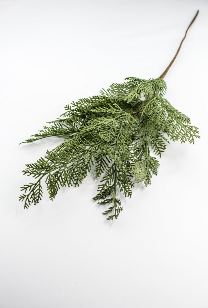 Cedar evergreen spray