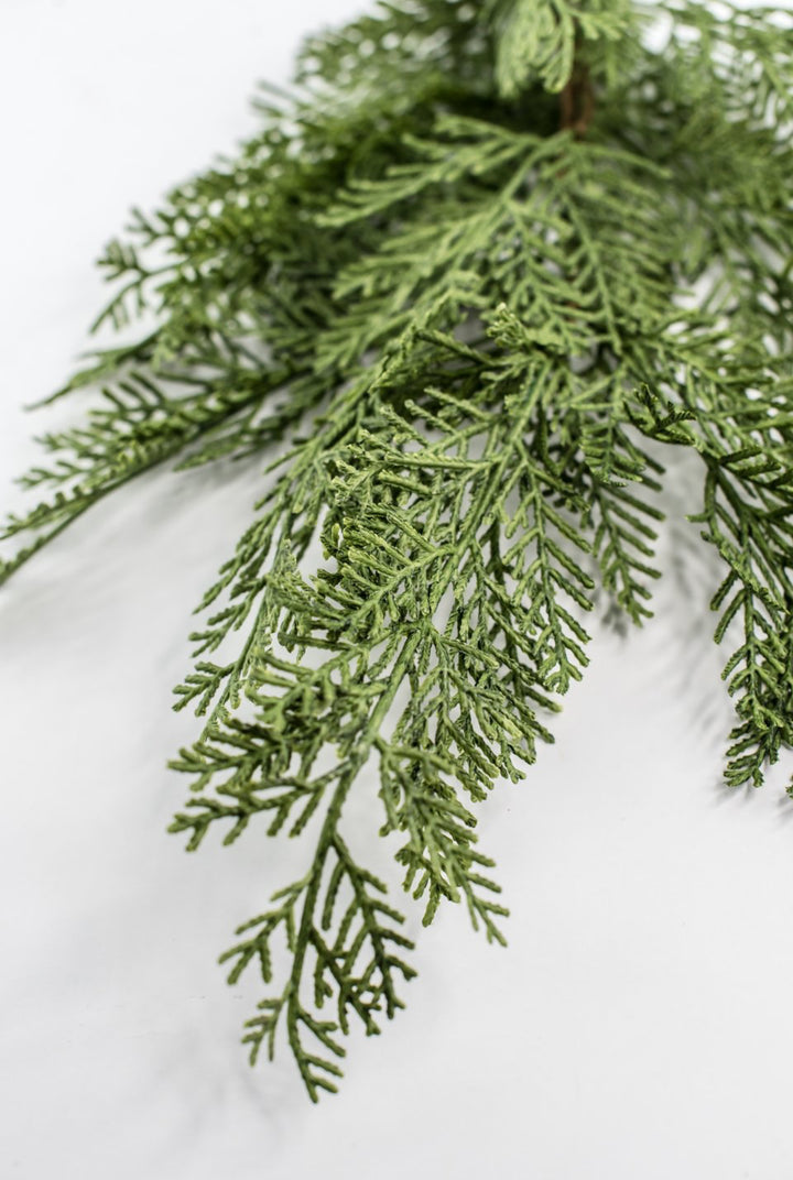 Cedar evergreen spray