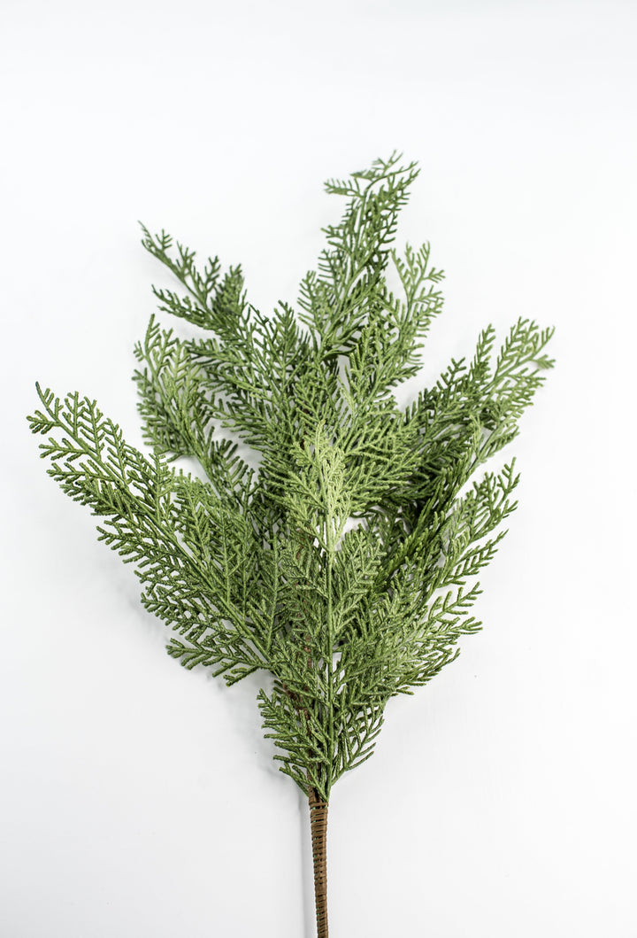 Cedar evergreen spray
