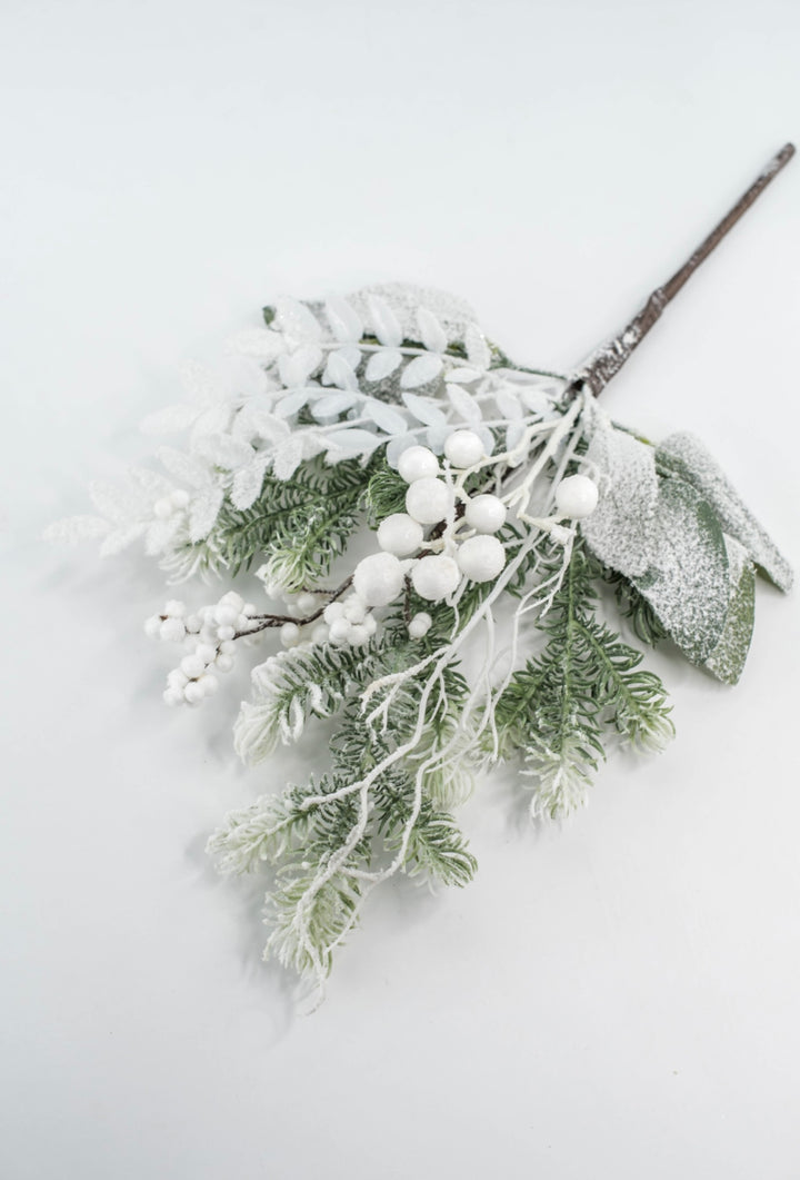 Snow Pine Berry Pick