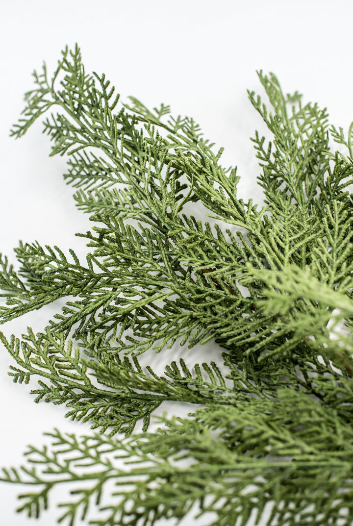 Cedar evergreen spray
