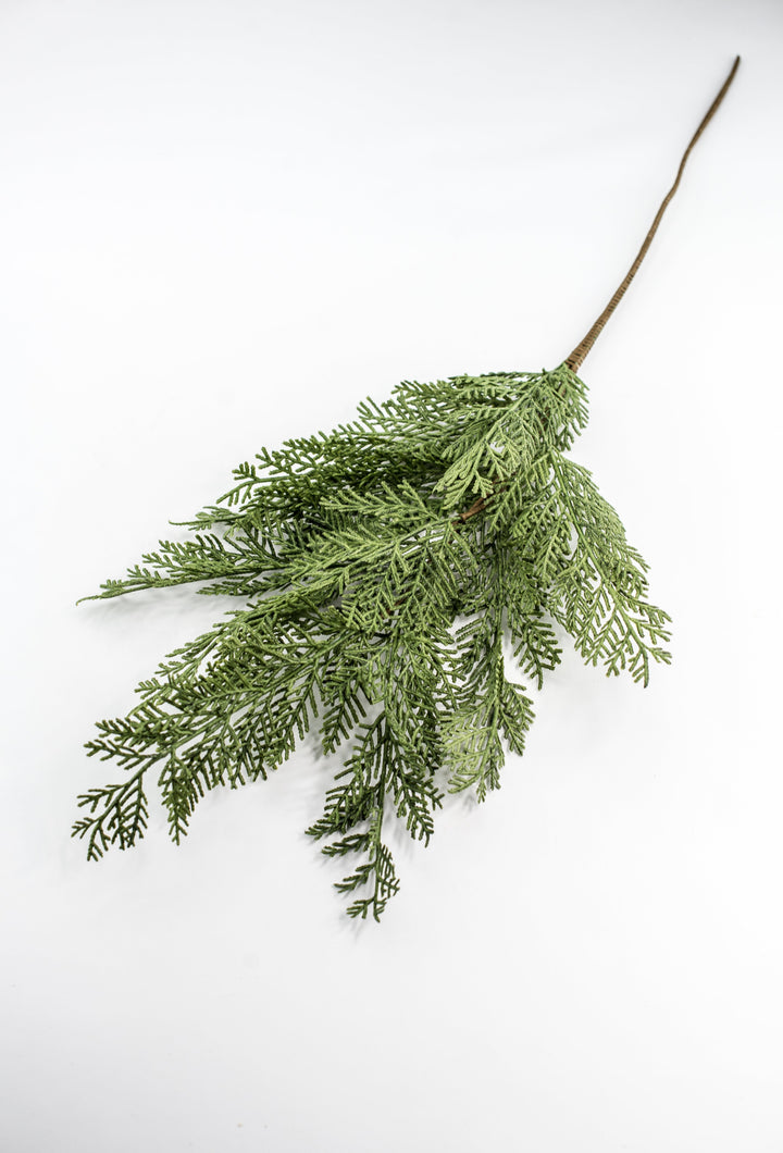 Cedar evergreen spray