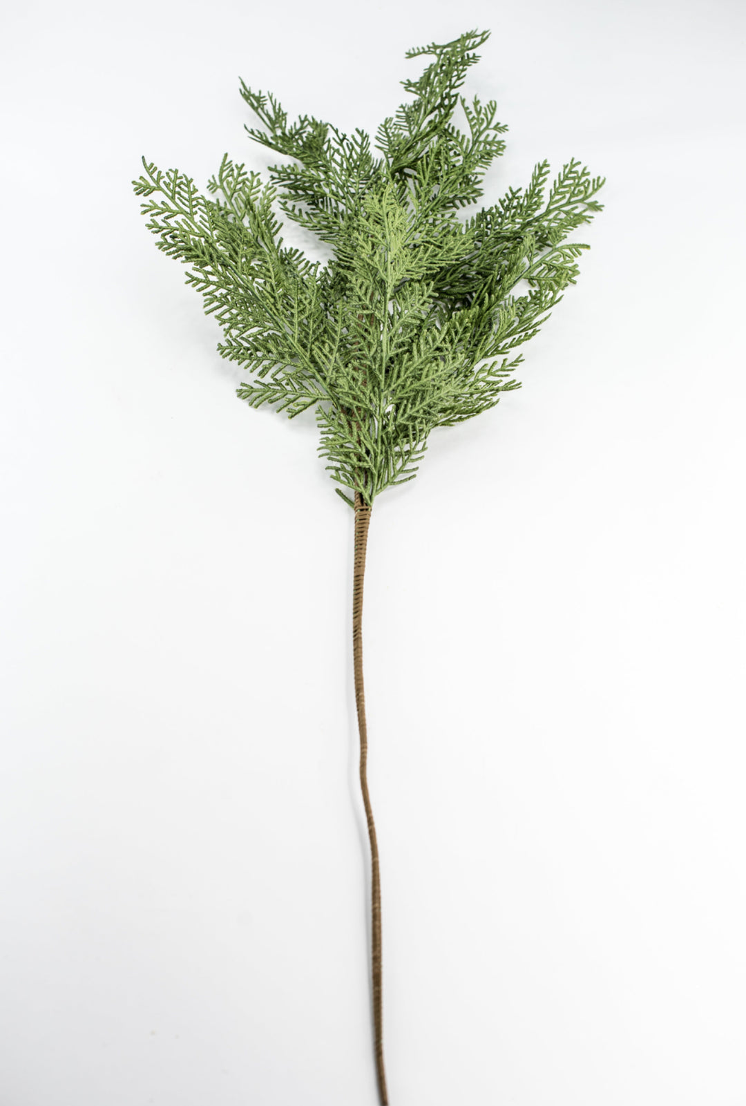 Cedar evergreen spray