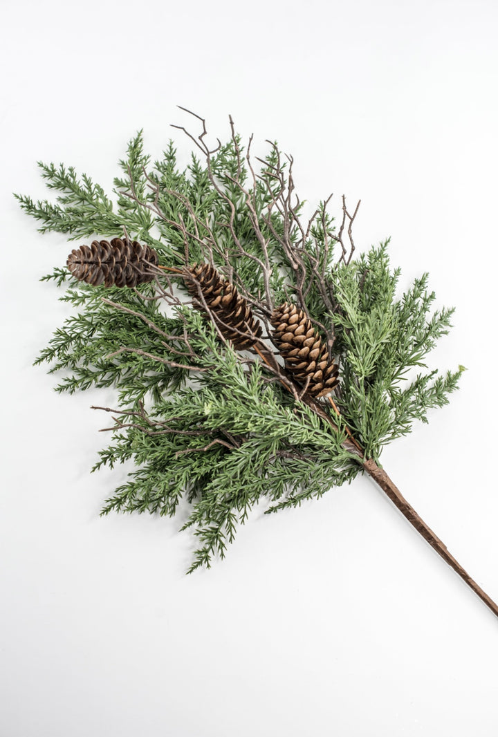 Pine & Cone Bush