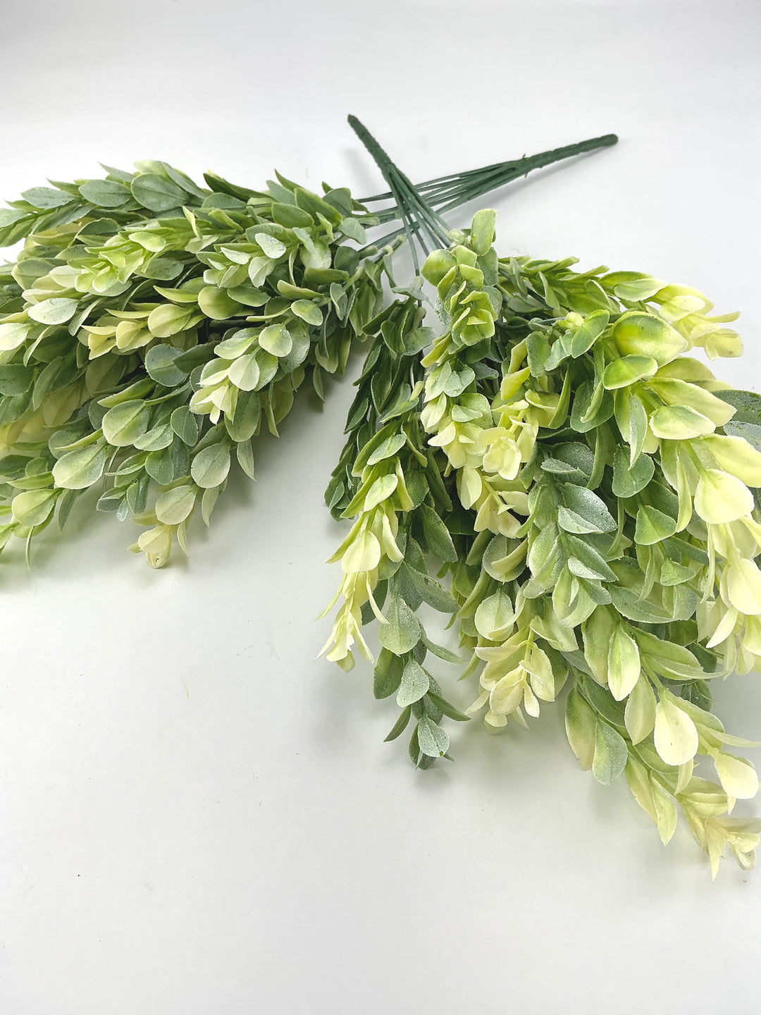 Artificial, cream green, boxwood bush x 2 bushes