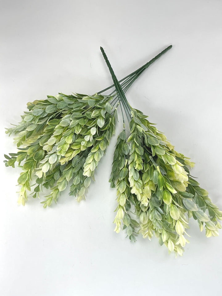 Artificial, cream green, boxwood bush x 2 bushes