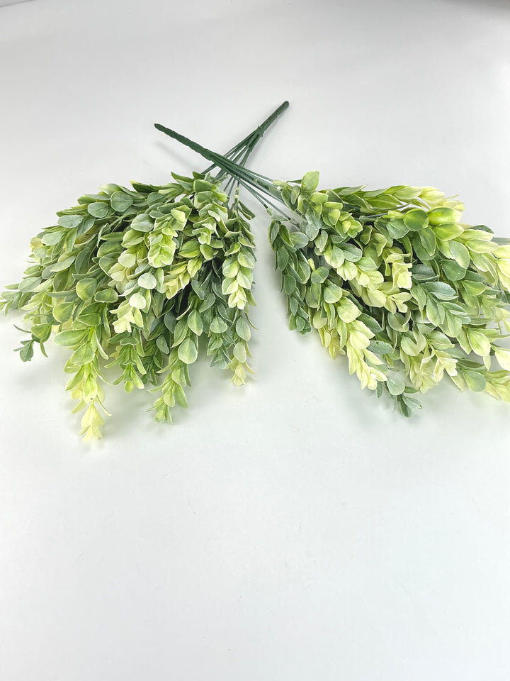 Artificial, cream green, boxwood bush x 2 bushes
