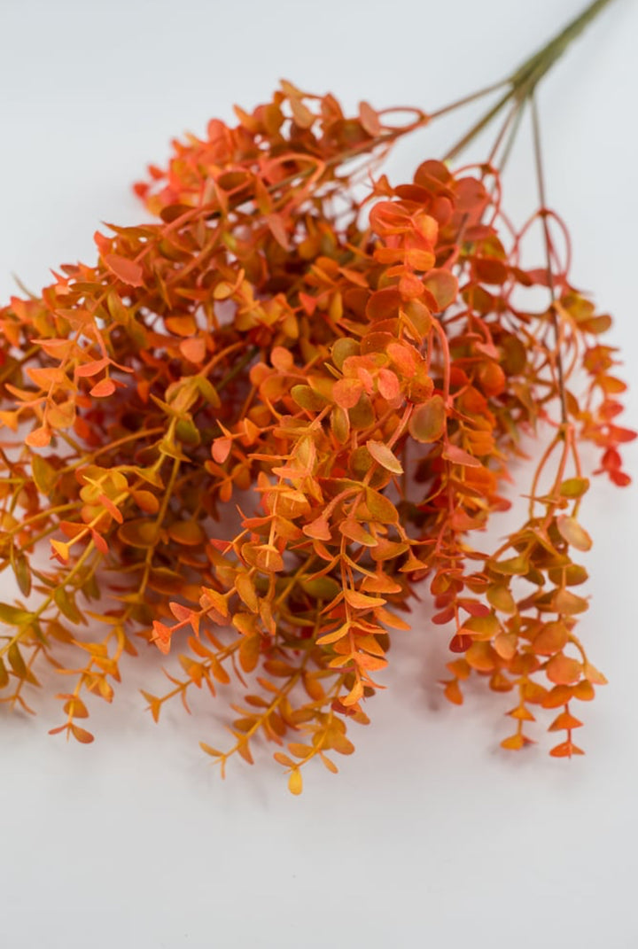 Eucalyptus bush - dark orange red