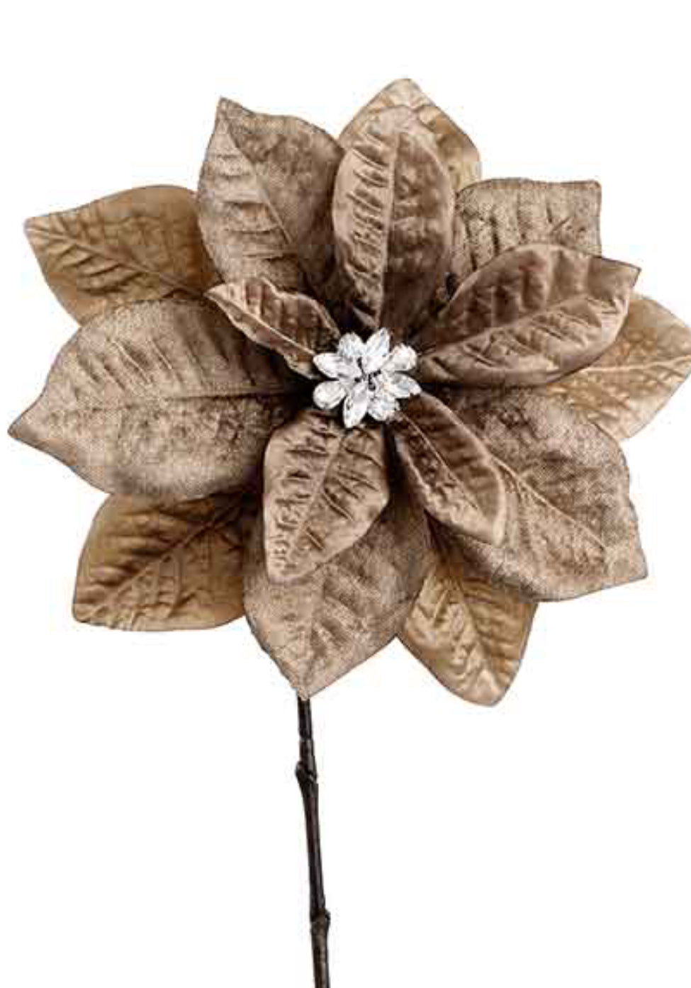 Brown Diamond Velvet Poinsettia - 25"