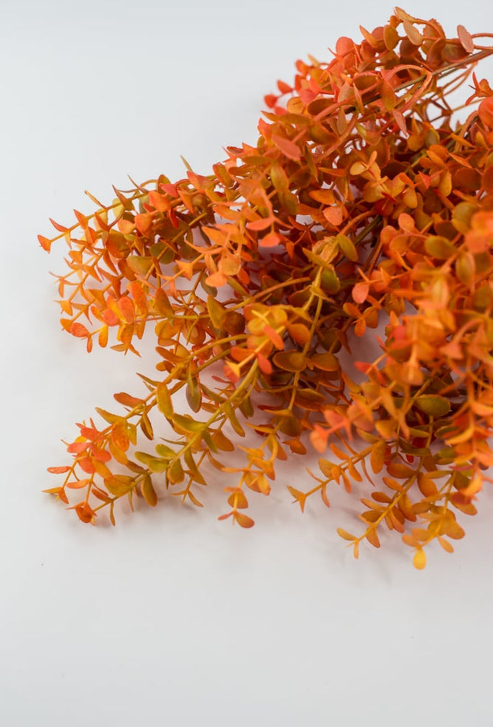 Eucalyptus bush - dark orange red