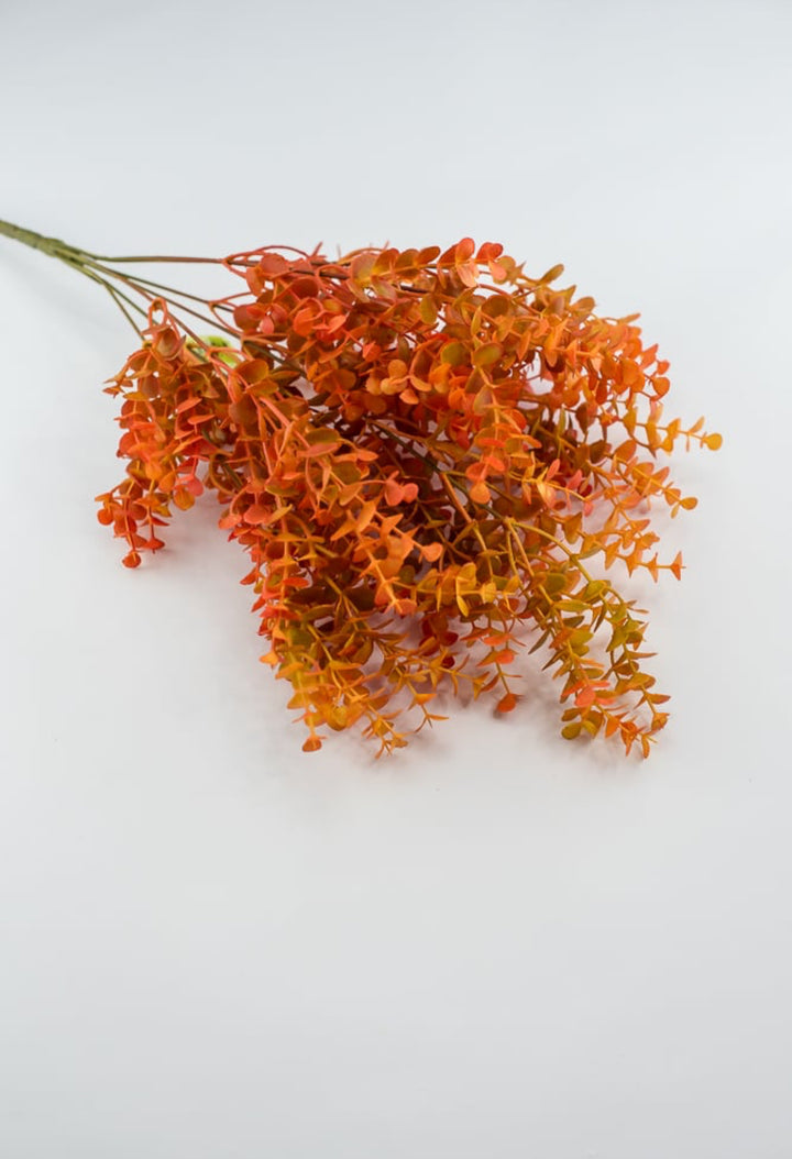 Eucalyptus bush - dark orange red