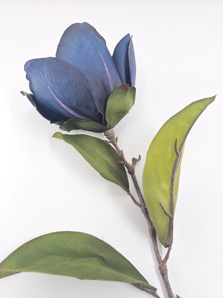 Blue velvet magnolia stem