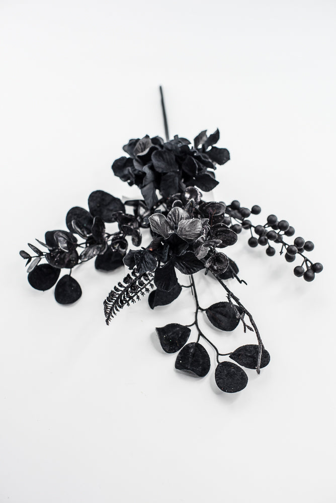 Black Hydrangea Berry Pick