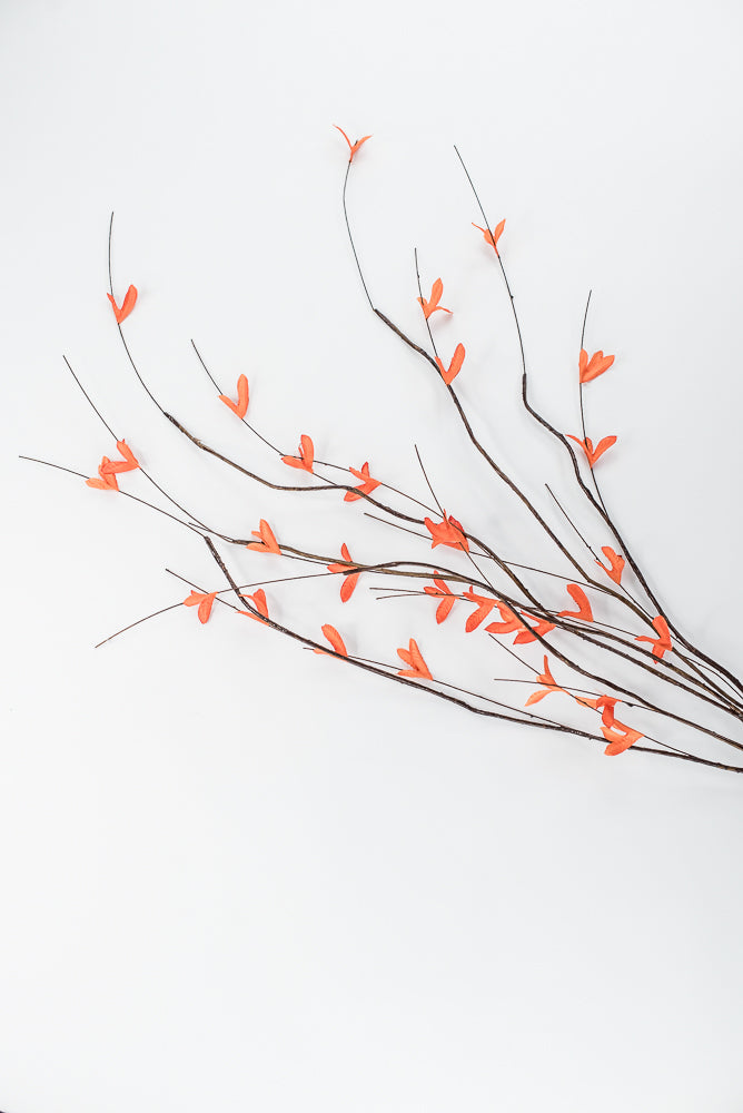 Orange Twig Leaves Spray