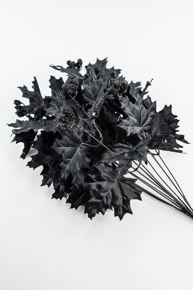 Black Maple Leaves Bush