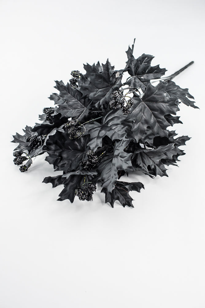 Black Maple Leaves Bush
