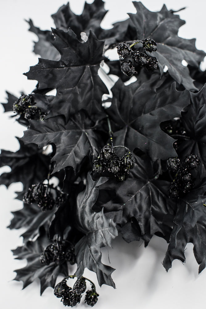 Black Maple Leaves Bush