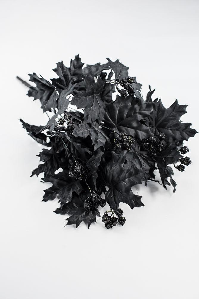 Black Maple Leaves Bush