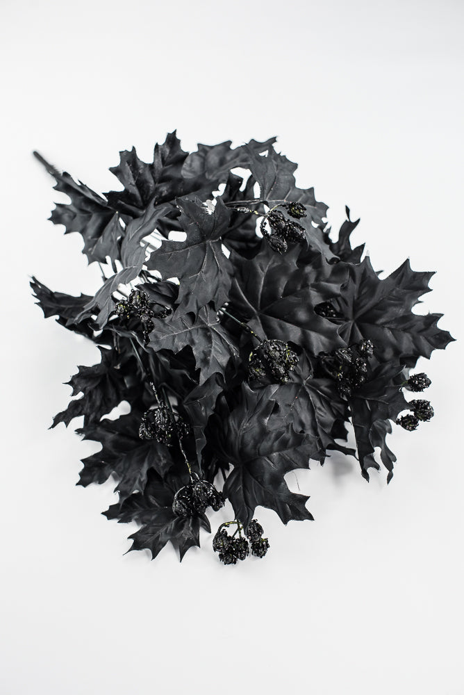 Black Maple Leaves Bush