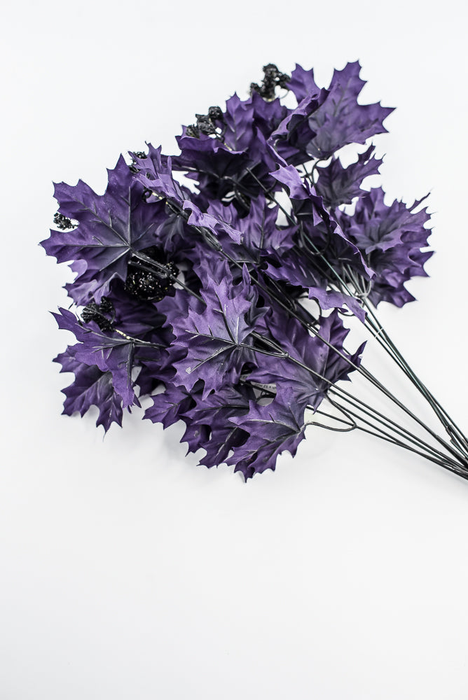 Purple Maple Leaves Bush