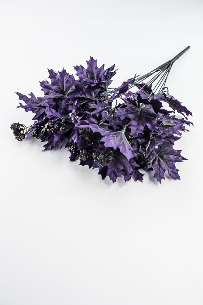 Purple Maple Leaves Bush