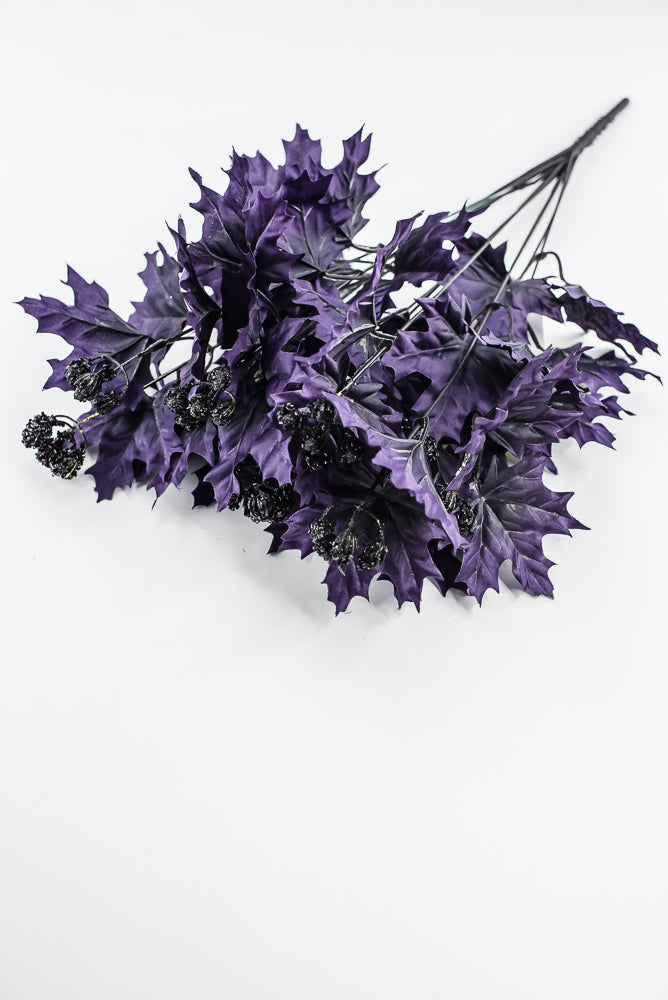 Purple Maple Leaves Bush