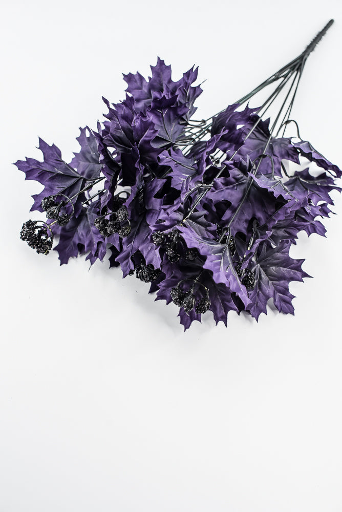 Purple Maple Leaves Bush